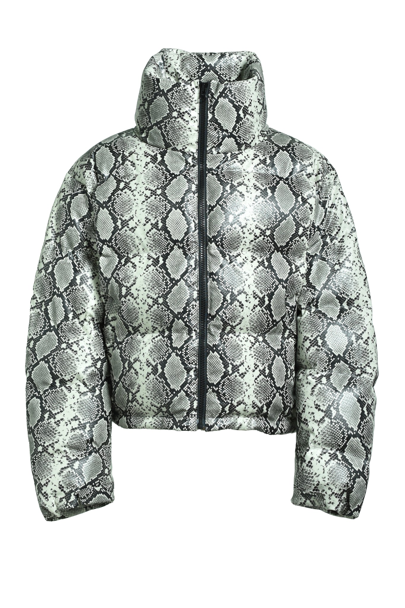 FAUX LEATHER SNAKE DOWN JACKET / GREY SNAKE